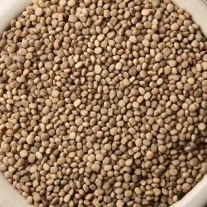 Guar Seed