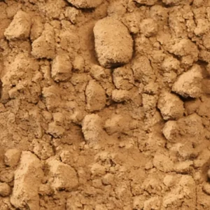 psyllium seeds powder